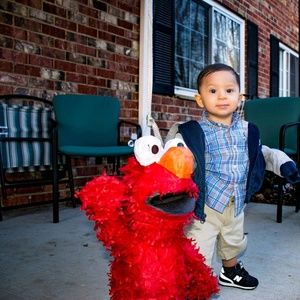 Meet your Posher, Gladys